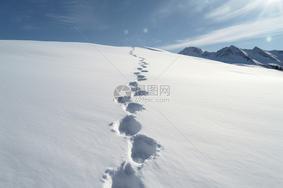 雪地探险图片