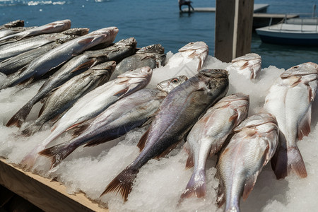 海鲜摊位营养的海鱼背景