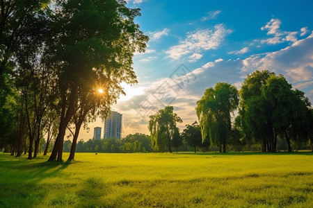 美丽的夏天城市公园景观图片