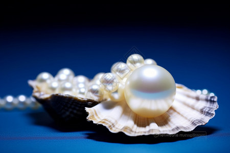 贝壳上闪耀的珍珠背景图片