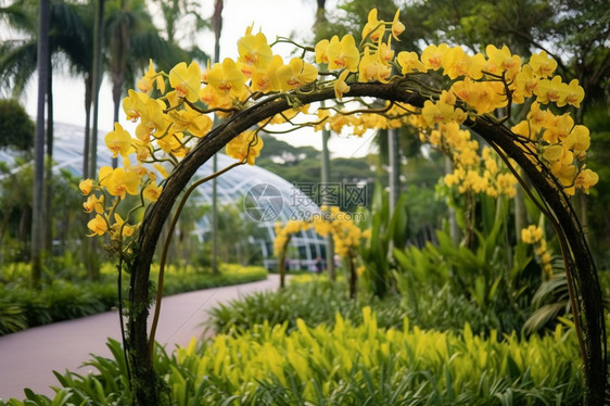 弧形花园拱门图片