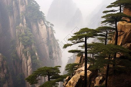 迷雾中神秘的黄山图片