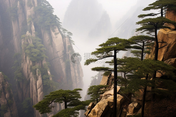 迷雾中神秘的黄山图片