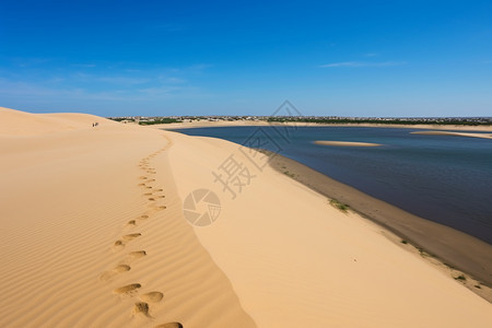 夏天沙丘沙漠的美丽景观图片