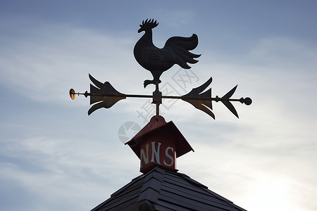 屋顶建筑预测天气的公鸡图片
