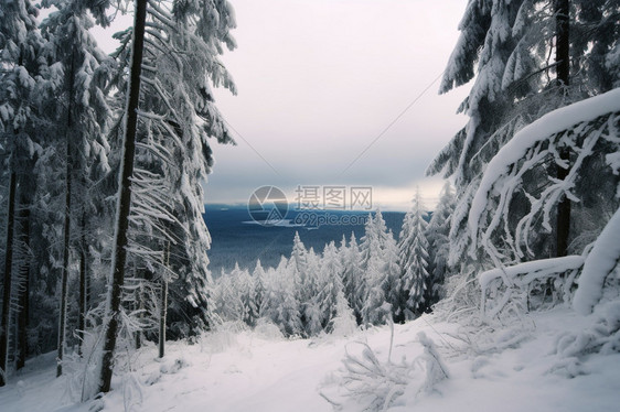 冬季雪山中的自然景观图片