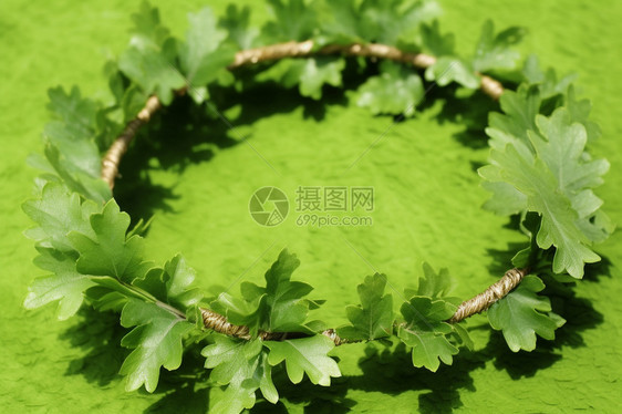 绿色植物装饰图片