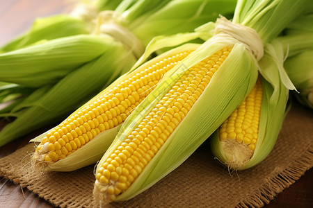 成熟的玉米图片