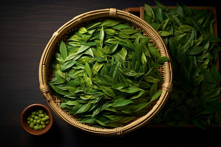 桌面上新鲜的绿茶叶图片