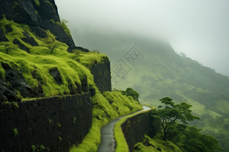 森林风景户外的山脉风景背景