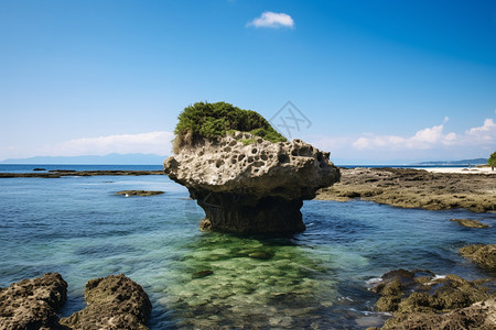 海边的岩石图片