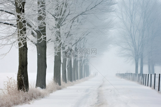 冬季美丽的雪景图片