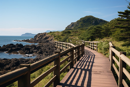 温暖的天气背景