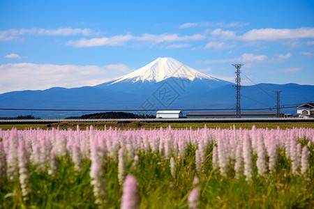 东京壮丽的富士山图片