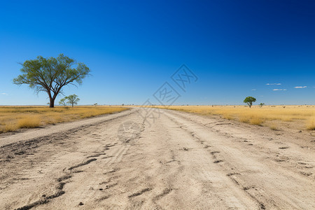 沙漠平坦公路图片