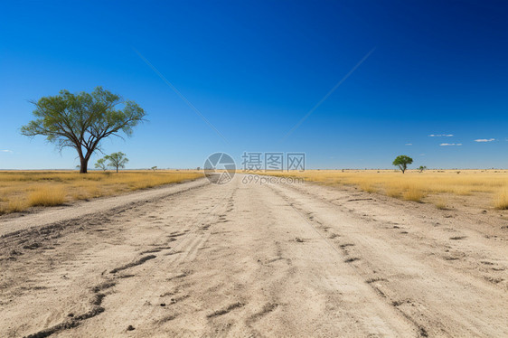 沙漠平坦公路图片