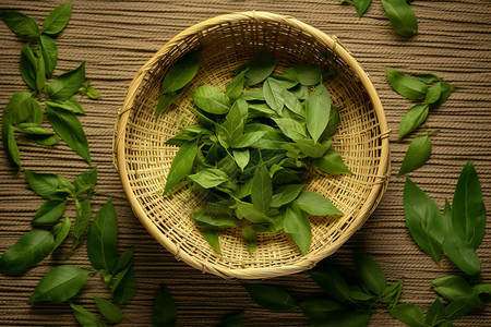 浓香的绿茶叶（照片-生活方式-美食餐饮/广告传媒）图片
