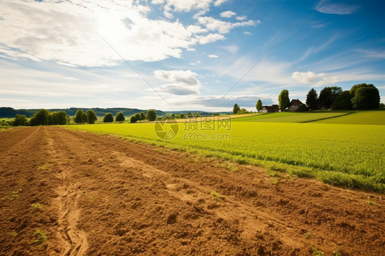 农田里的农业土壤图片