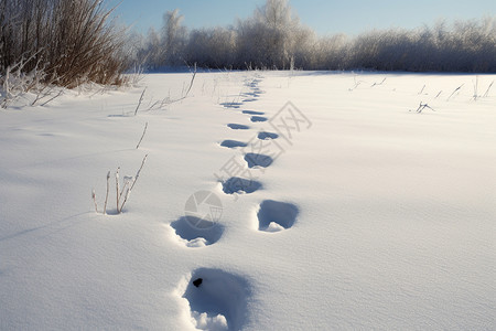 白色雪地中脚印背景图片