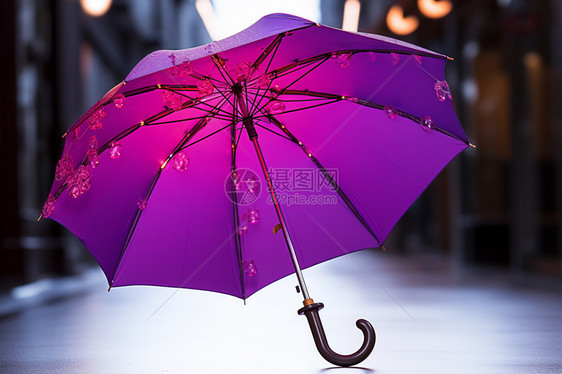 创意紫色雨伞图片