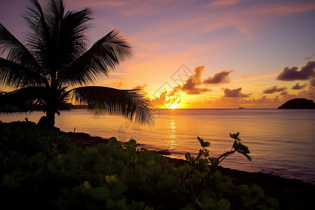 海边日落的美丽风景图片