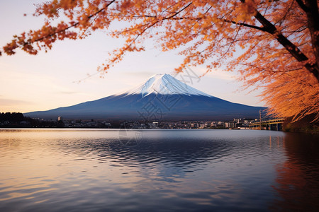 秋天富士山的美丽景观图片