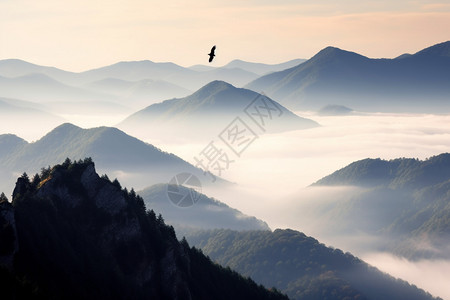 云雾中宁静的山脉背景图片