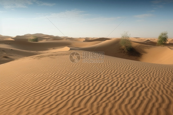 壮观的阿拉伯沙漠景观图片
