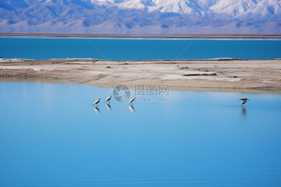 西藏湖泊的美丽景观图片