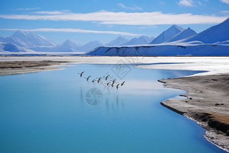 壮观的西藏湖泊景观图片
