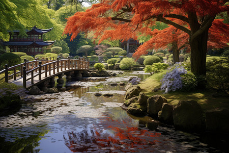 日本美丽花园日本文化观赏花园背景