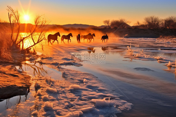 日落下的马群图片