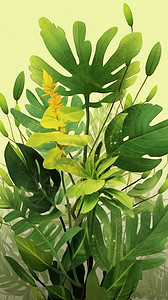 手绘的植物海报图片