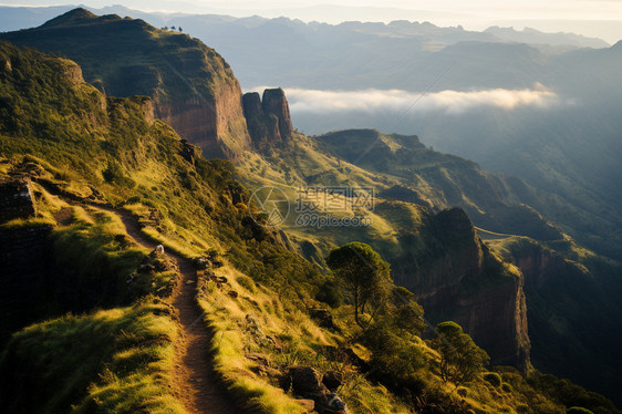 郁郁葱葱的山间景观图片