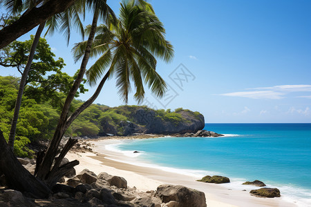 热带地区的度假海滩图片