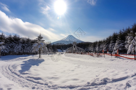 乡村滑雪场的景观图片