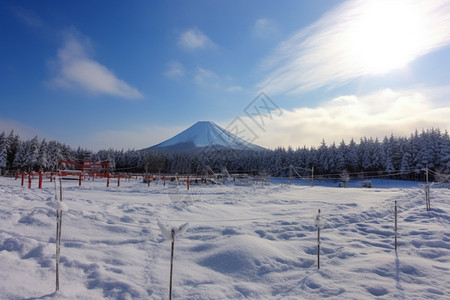 白雪皑皑的滑雪场图片