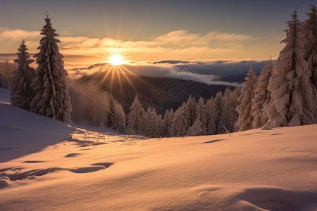 日出时分雪山中的景观图片