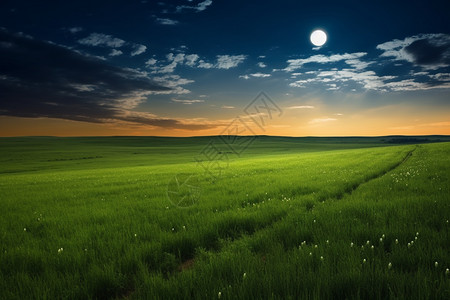 月明星稀下的草原图片