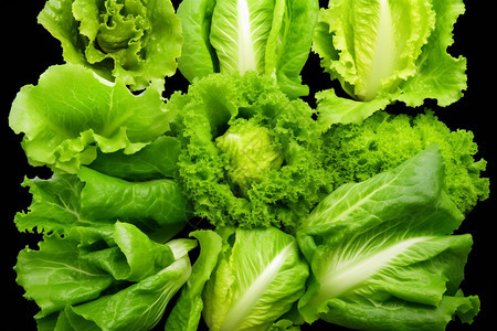 一颗颗绿色的蔬菜图片