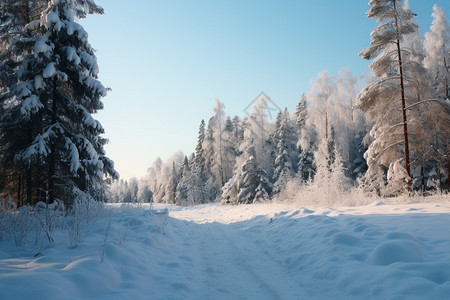 乡村寒冷道路景观图片
