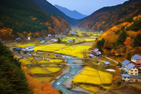 春天北海道的美丽景观图片