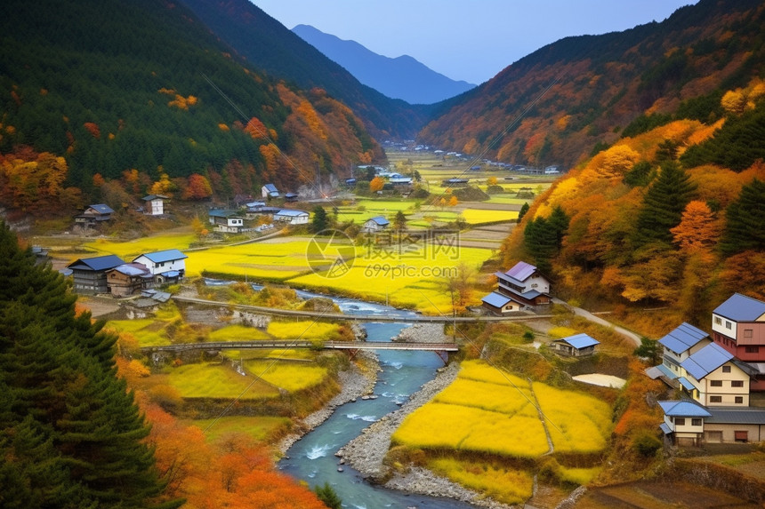 春天北海道的美丽景观图片