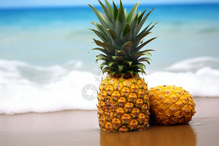 海岸上新鲜成熟的菠萝图片