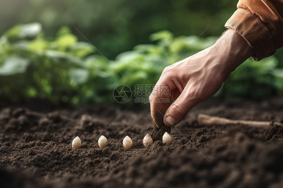 农村种植蔬菜的农民图片