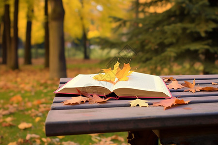 秋天公园木凳上的书籍图片