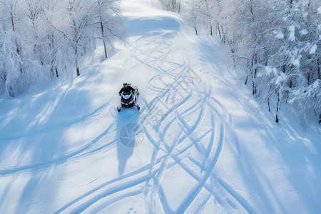 森林中正在骑行的雪地摩托图片