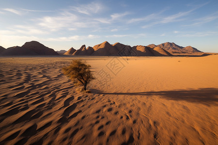 夏天纳米比亚沙漠的自然景观图片