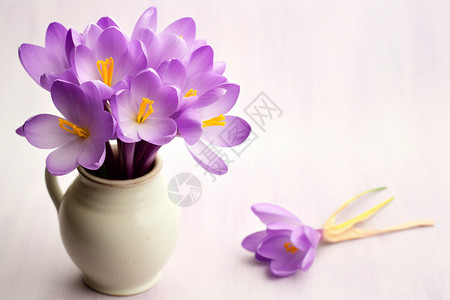 新鲜插花的紫色鲜花图片