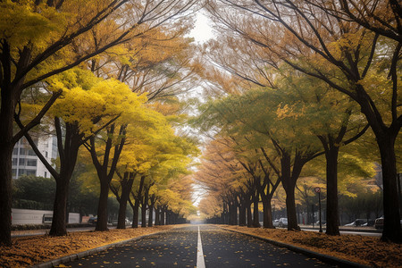 秋天城市中的街道景观背景图片